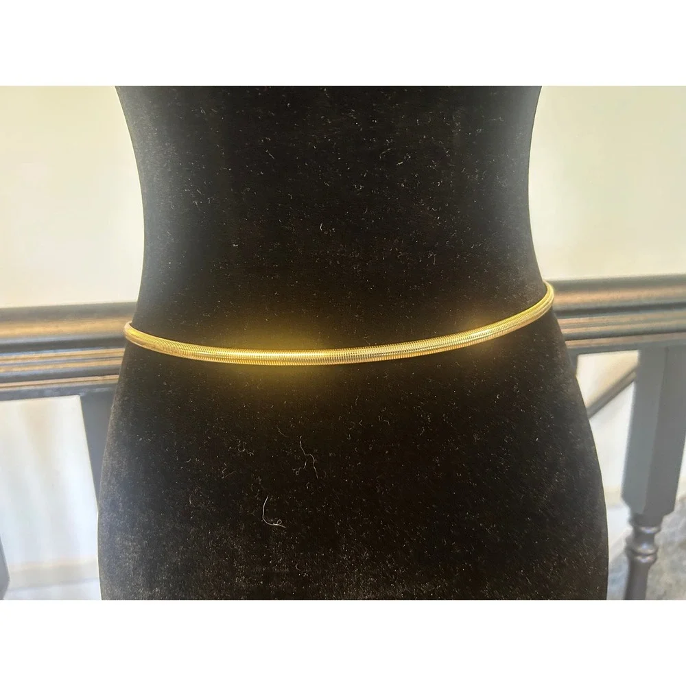 Vintage Gold Tone Metal Snake‎ Chain Coin Medallion Belt 29 Inch